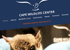 Cape Wildlife Center – New Website Launch