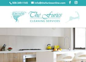 Furies Cleaning Service