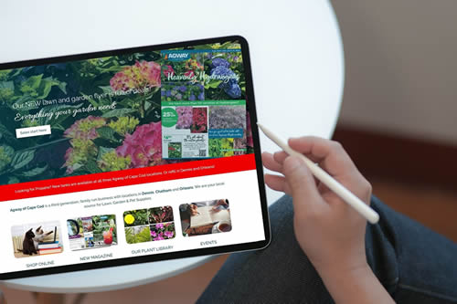 agway-cape-cod-website-design-build-cape-cod-small