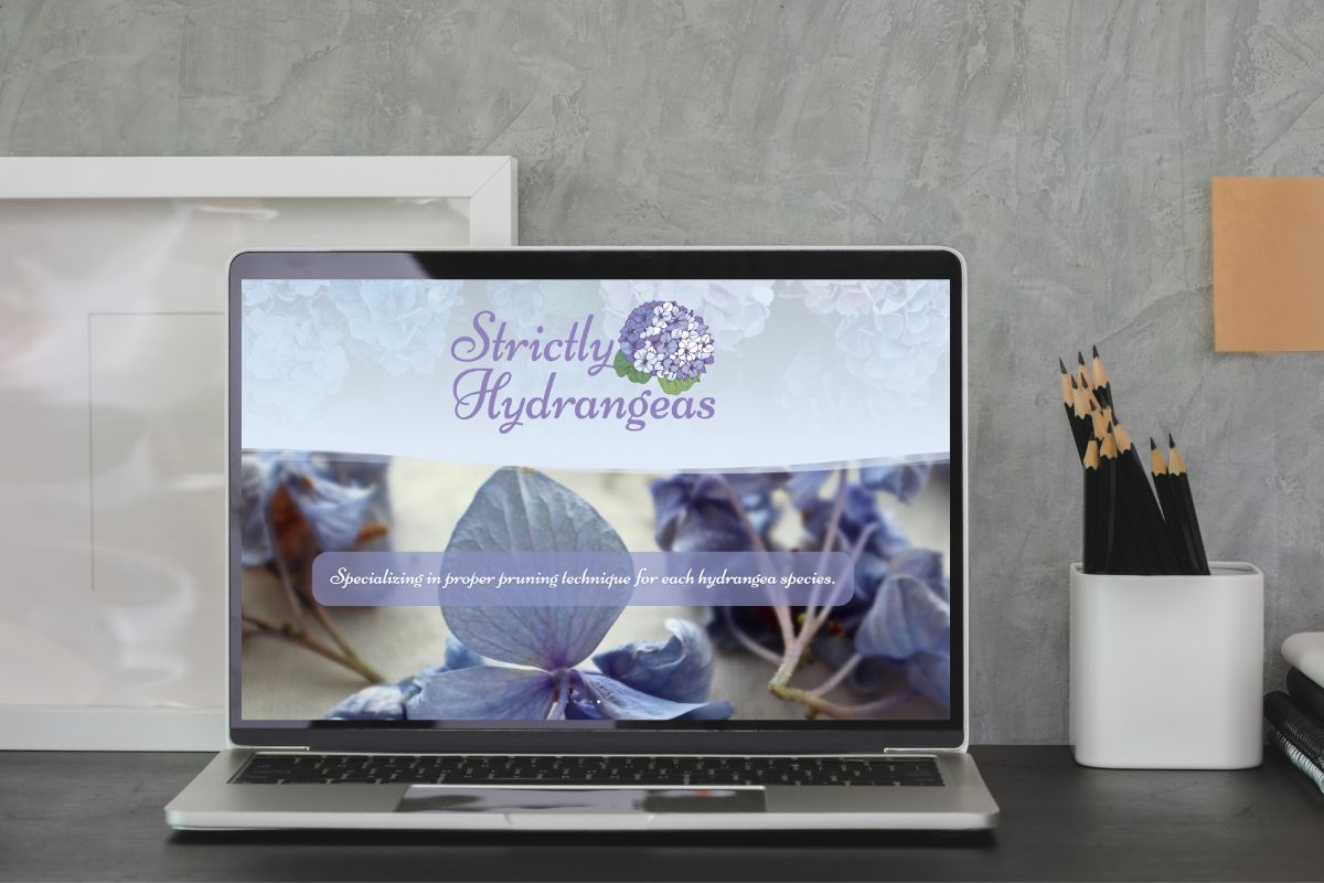 strictly-hydrangeas-website-design-cape-cod
