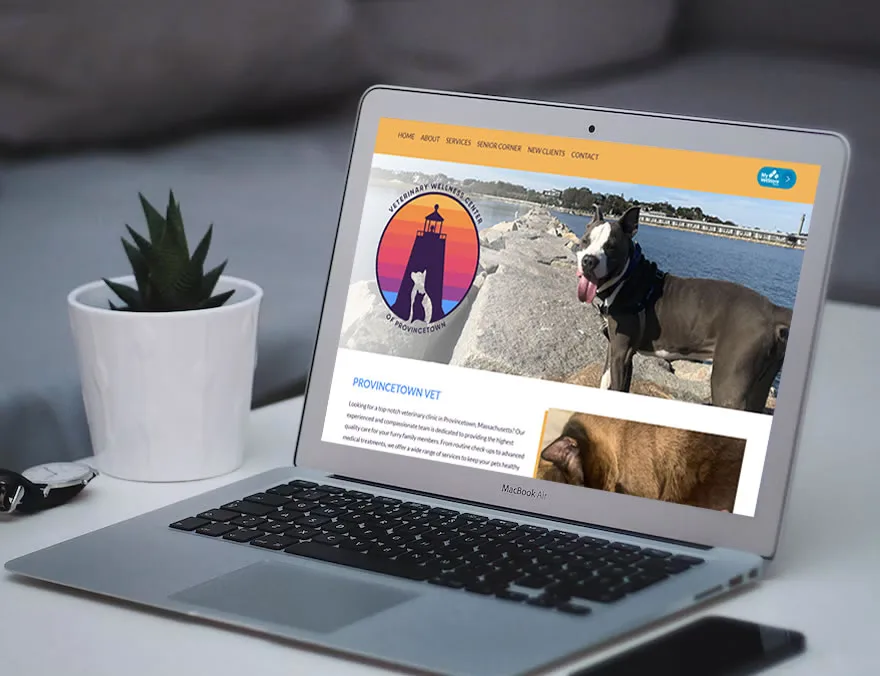vet-ptown-cape-cod-website-design-build-med
