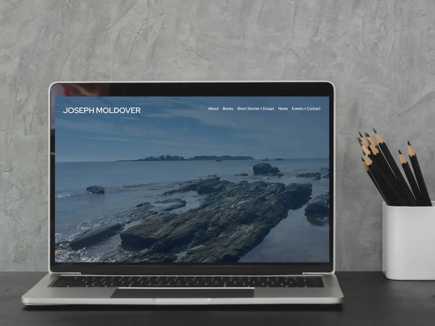 joseph-moldover-website-design-med