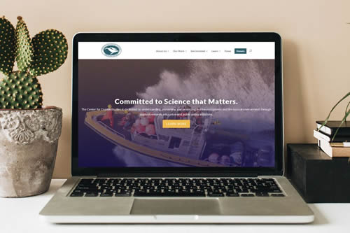 coastal-studies-website-design-build-cape-cod-small