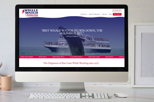COLEwebdev Website Launch Dolphin Fleet Whale Watch 2026 small